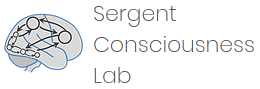 Sergent-consciousness-lab